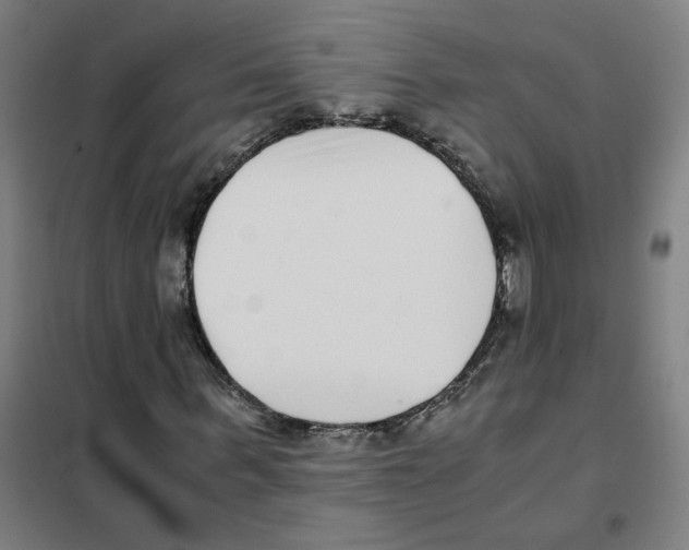 X0000101430963200808041148