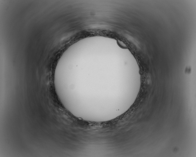 X0000101430965200808041148