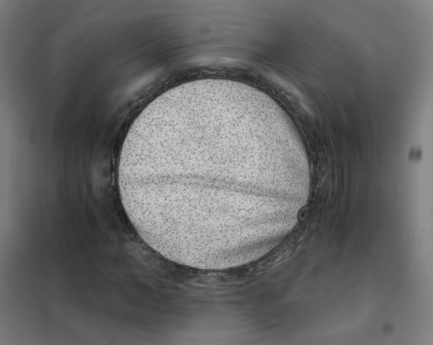 X0000101430966200808041148