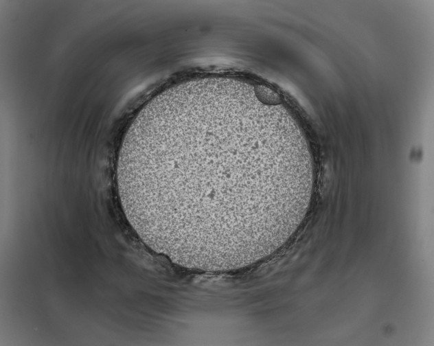 X0000101430967200808041148