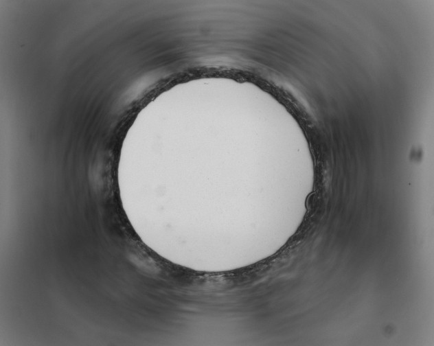 X0000101430968200808041148