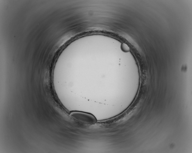 X0000101430969200808041148