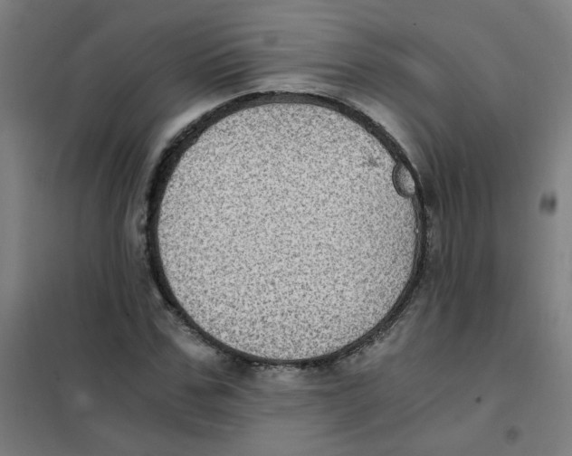 X0000101430971200808041148