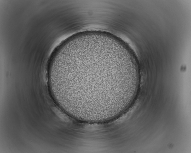 X0000101430973200808041148