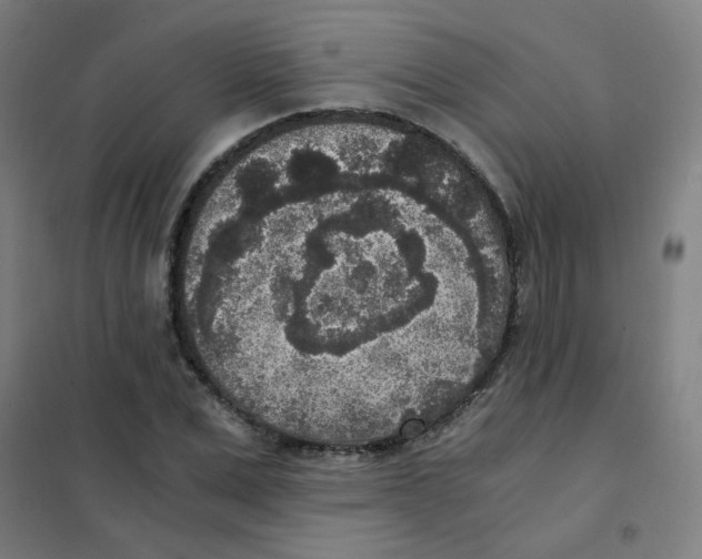 X0000101430975200808041148