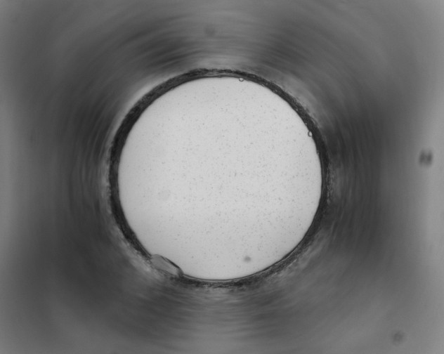 X0000101430976200808041148