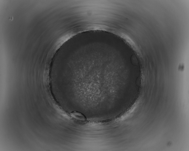 X0000101430977200808041148