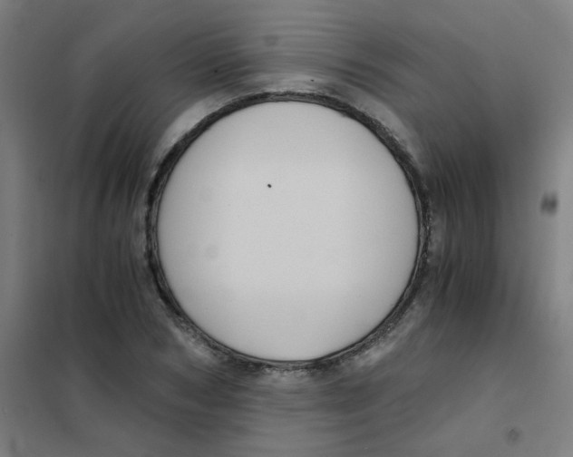 X0000101430978200808041148