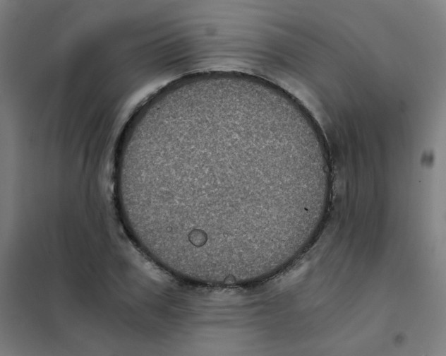 X0000101430979200808041147