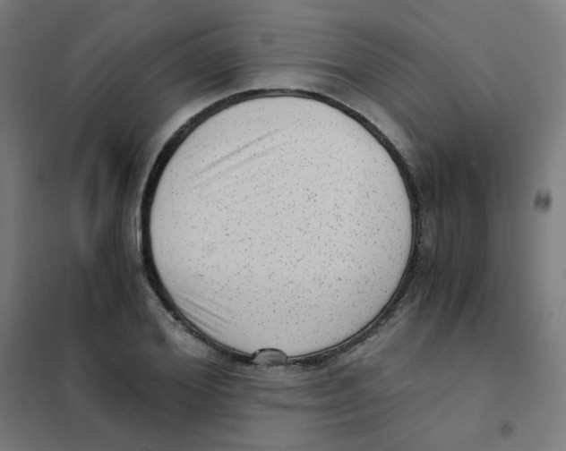 X0000101430980200808041147