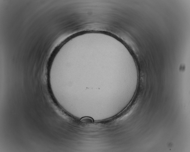 X0000101430981200808041147