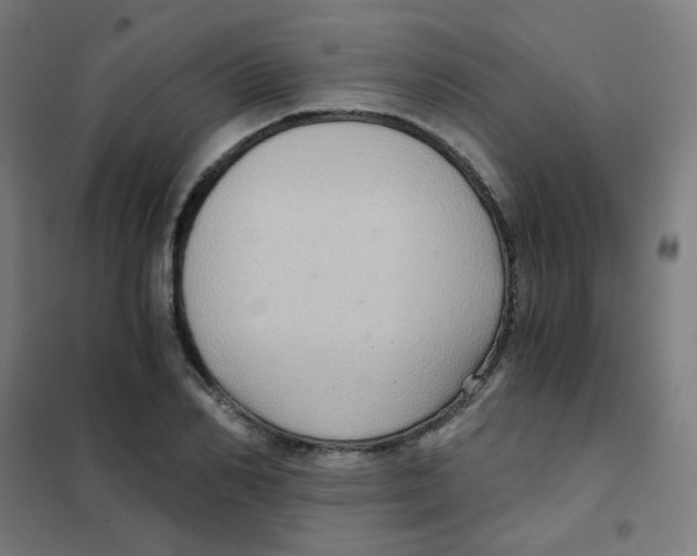 X0000101430982200808041147