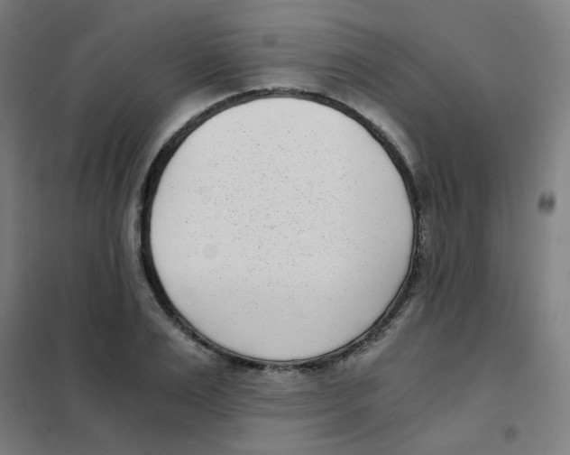 X0000101430983200808041147