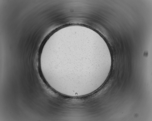 X0000101430984200808041147