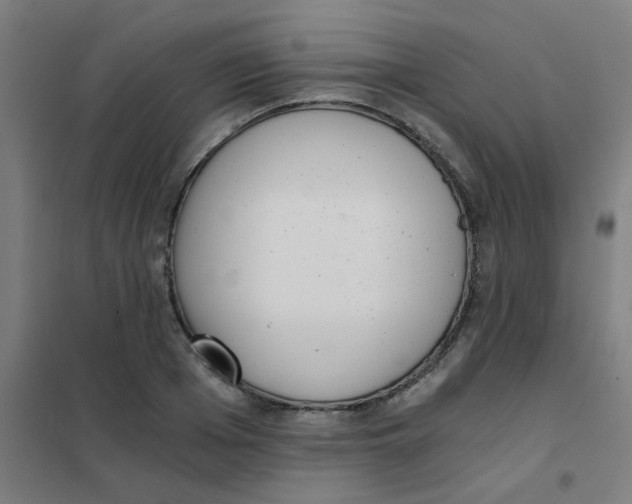 X0000101430985200808041147