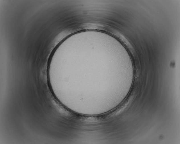 X0000101430986200808041147