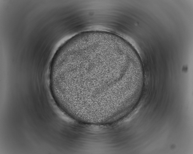 X0000101430987200808041147