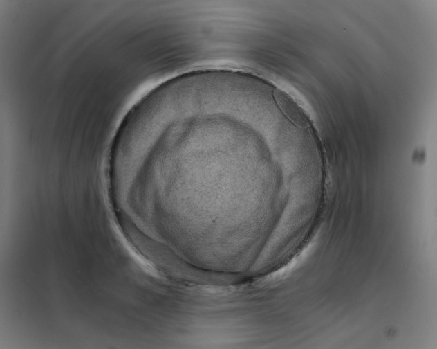 X0000101430989200808041147