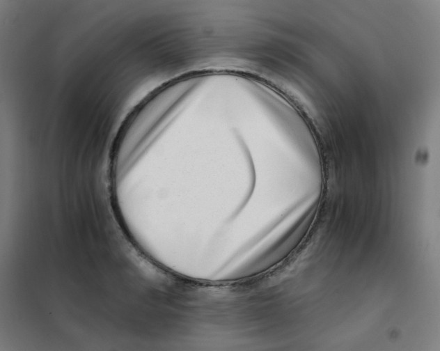 X0000101430990200808041147