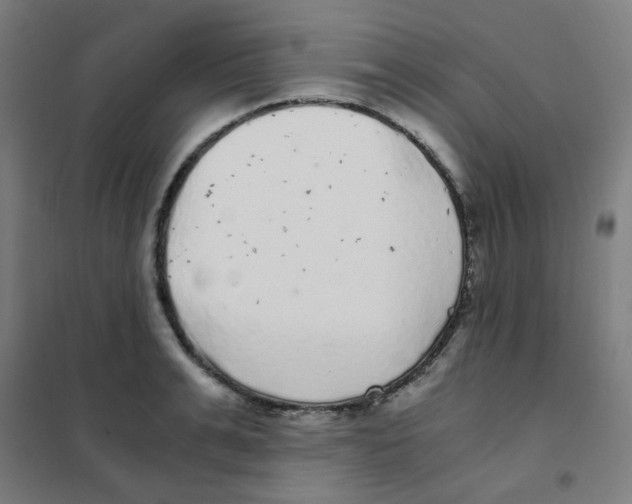 X0000101430991200808041147