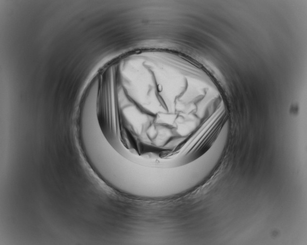 X0000101430992200808041147