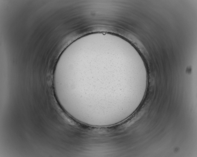 X0000101430993200808041147