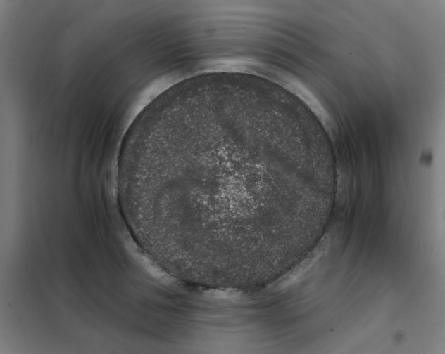 X0000101430994200808041147