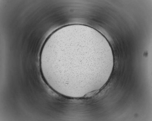 X0000101430996200808041147