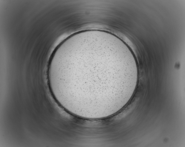 X0000101430997200808041147