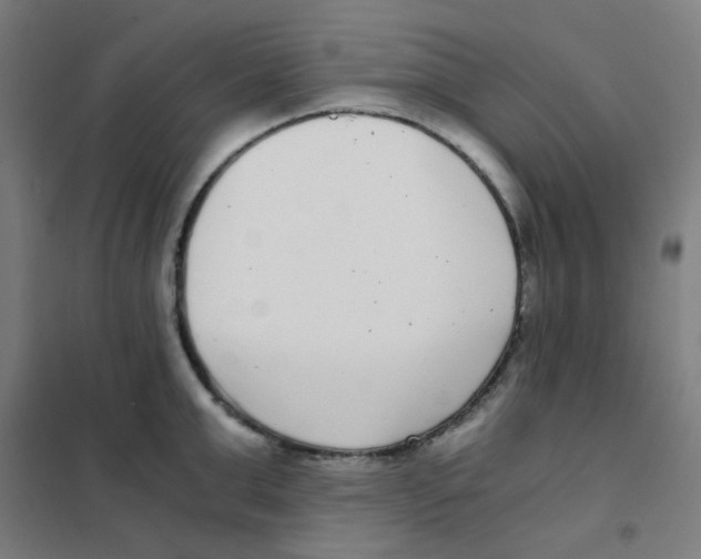 X0000101430999200808041147