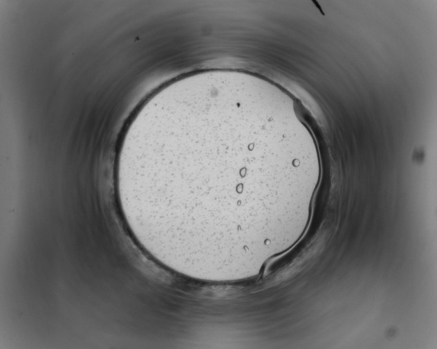 X0000101431000200808041147