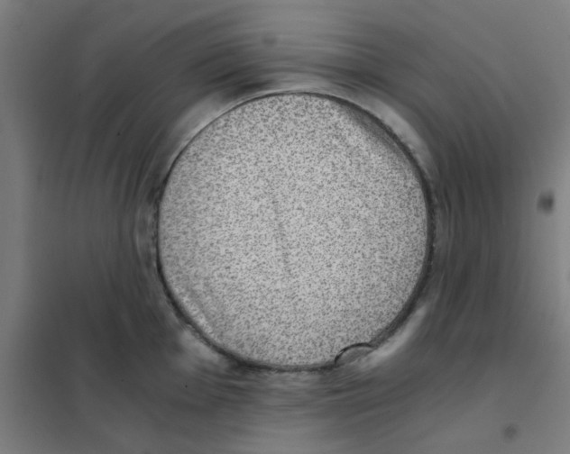 X0000101431001200808041147