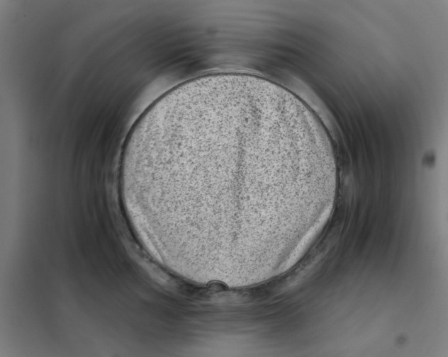 X0000101431002200808041147