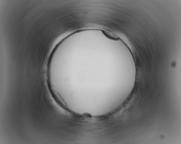 X0000101431003200808041147