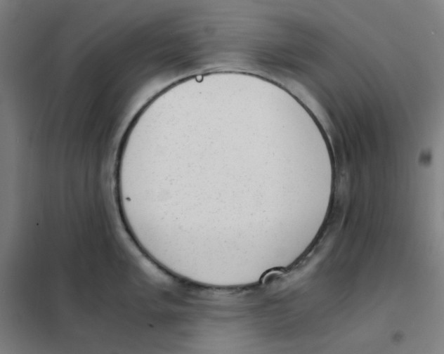 X0000101431005200808041147