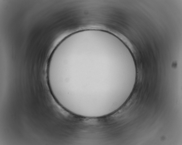 X0000101431006200808041147