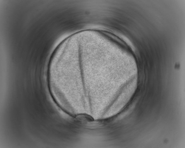 X0000101431007200808041147