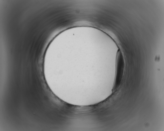 X0000101431008200808041147