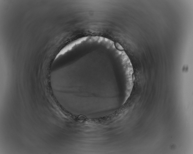 X0000101431009200808041146