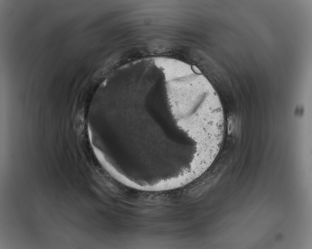 X0000101431011200808041146