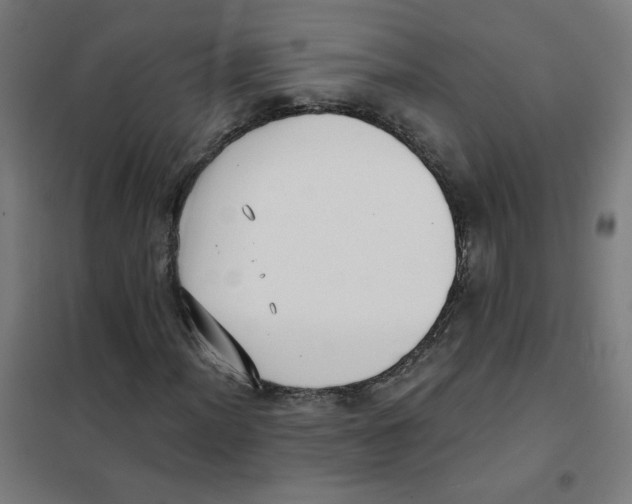 X0000101431012200808041146