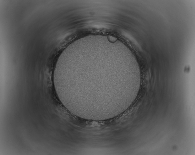 X0000101431013200808041146