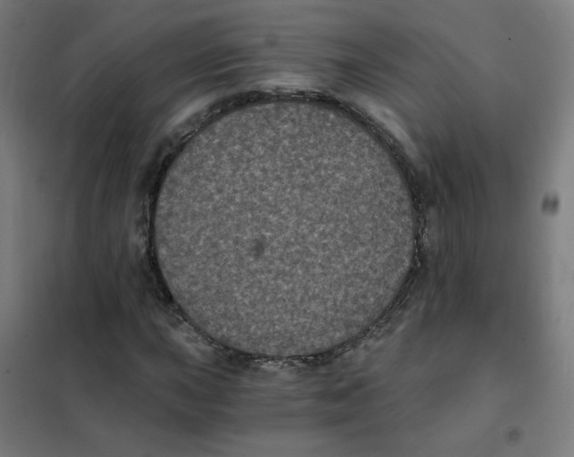 X0000101431015200808041146