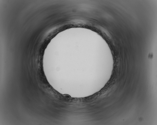 X0000101431016200808041146