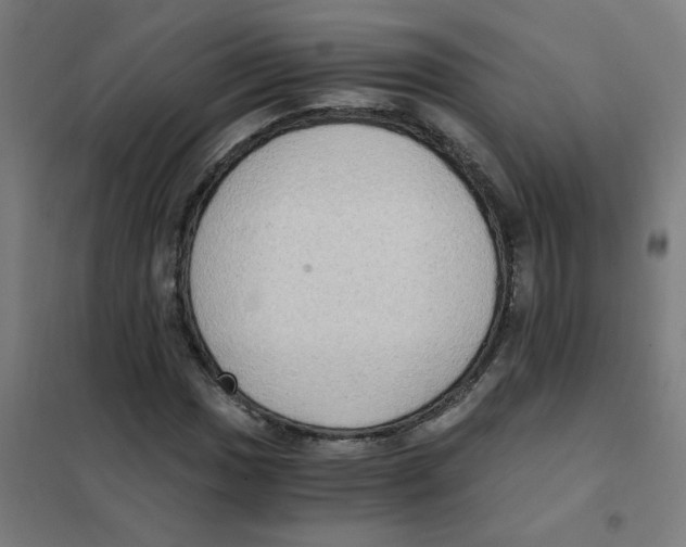 X0000101431017200808041146