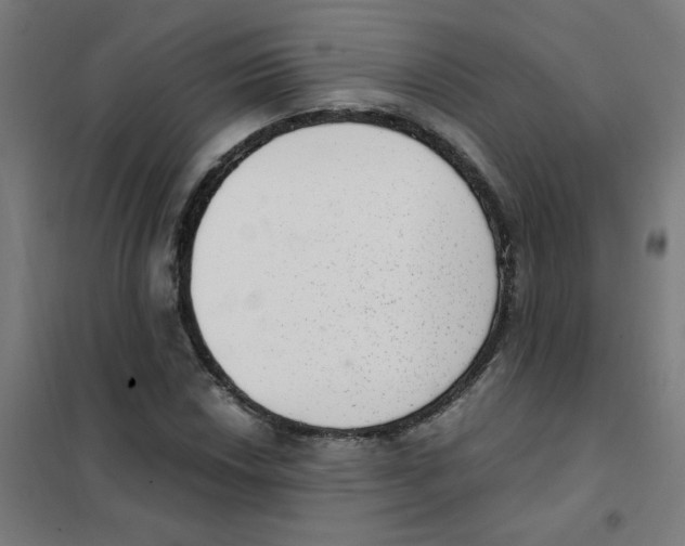 X0000101431018200808041146