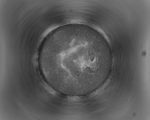 X0000101431019200808041146