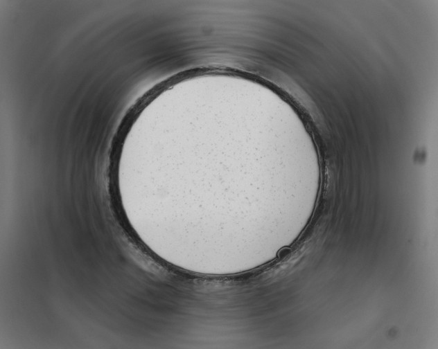 X0000101431020200808041146