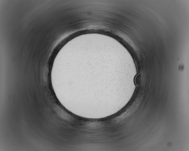 X0000101431021200808041147