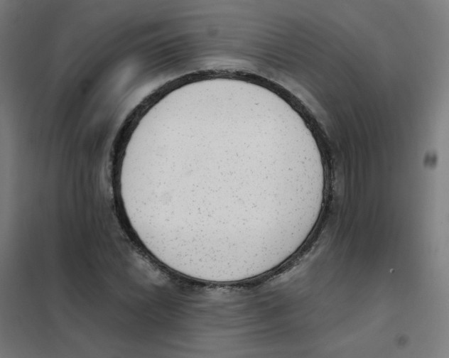 X0000101431022200808041147